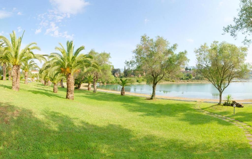 Palm Tree Corfu Apt. Danilia Екстер'єр фото